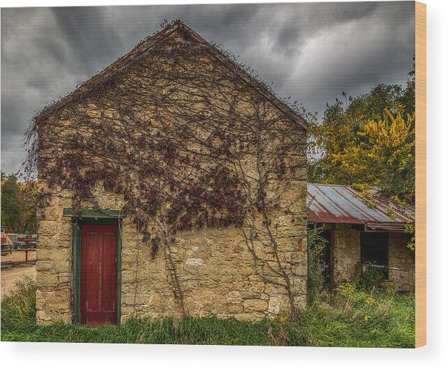 Old Wood Print featuring the photograph Vines And Brick by Paul Freidlund