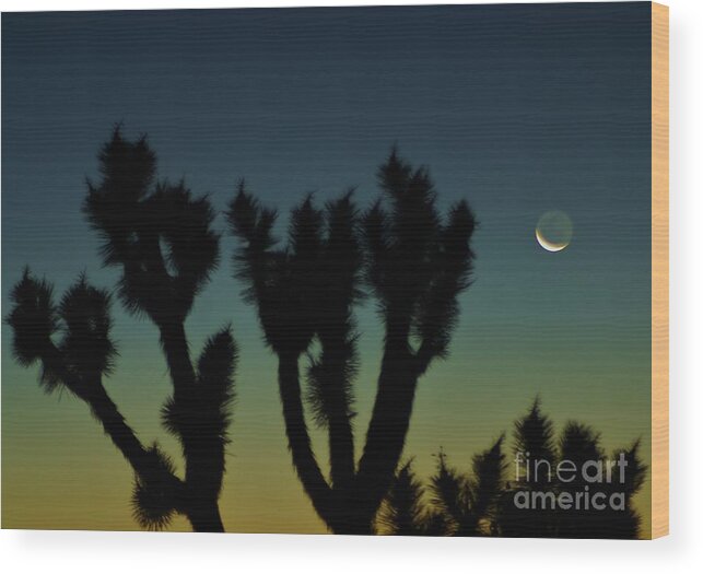 Night Wood Print featuring the photograph WaninG by Angela J Wright