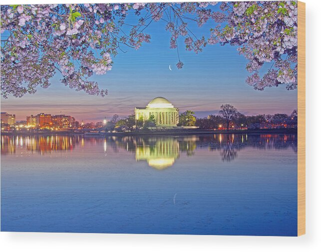 Cherry Blossoms Wood Print featuring the photograph Waning Crescent Cherry Blossom Moon by Steven Barrows