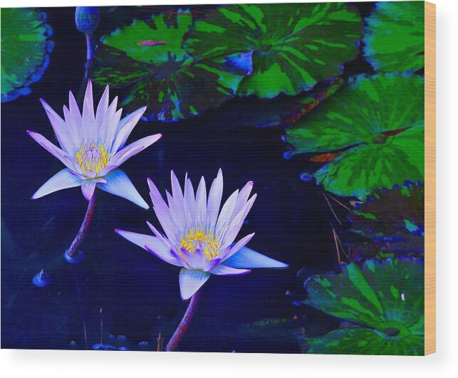 Water Lilies Wood Print featuring the photograph Flower 2 by Albert Fadel