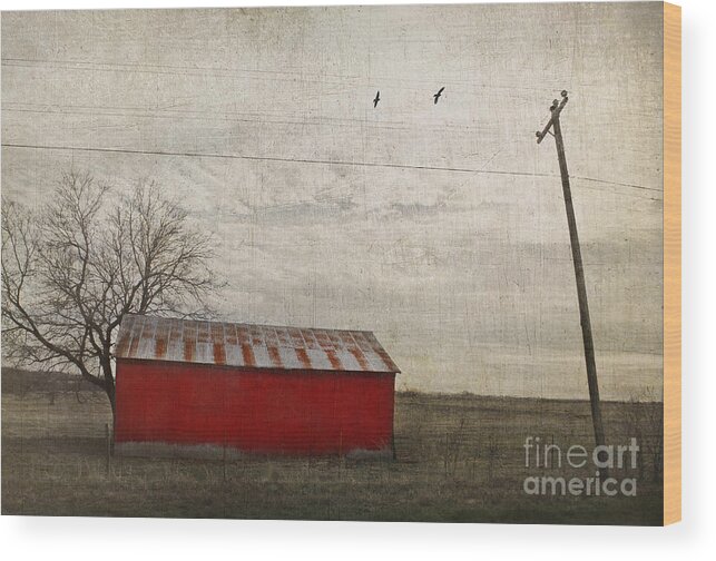 Red Barn Wood Print featuring the photograph Weathered red barn by Elena Nosyreva