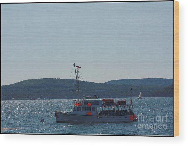 Maine Wood Print featuring the photograph Whale Watching at Bar Harbor by Dora Sofia Caputo