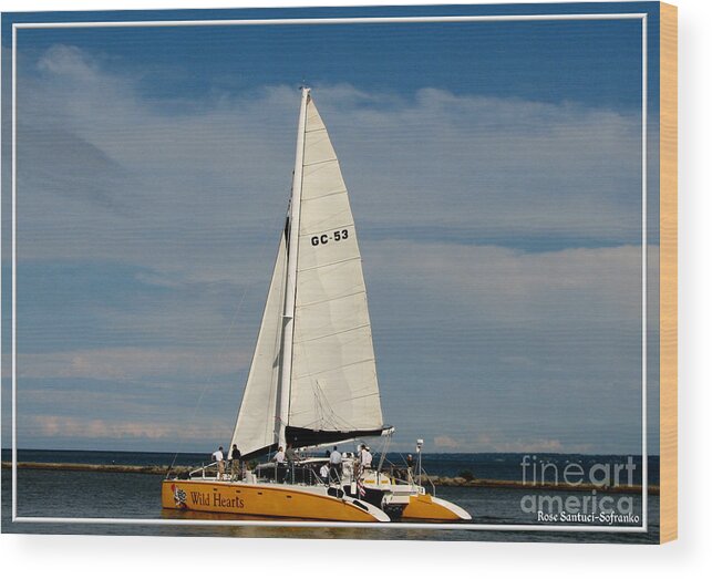 Wild Hearts Catamaran Wood Print featuring the photograph Wild Hearts Catamaran on Lake Ontario at Rochester New York by Rose Santuci-Sofranko