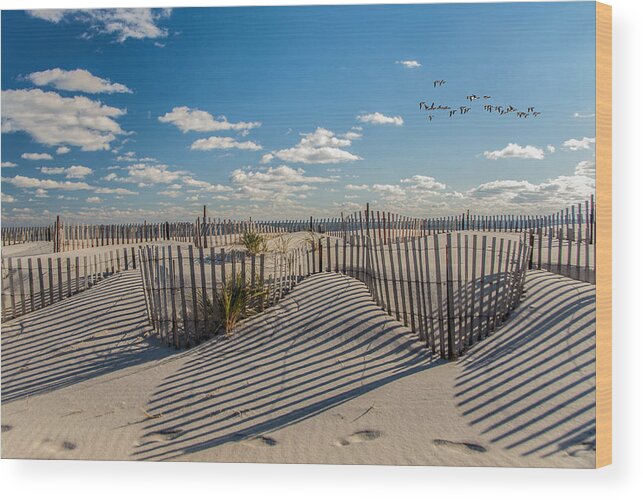 Beach Wood Print featuring the photograph Winter Beach 9528 by Cathy Kovarik