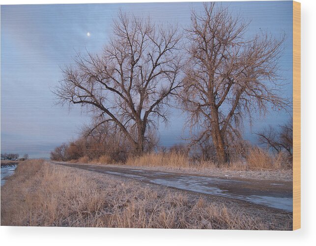 Winter Wood Print featuring the photograph Winter Dawn Moon and Tree Landscape by Cascade Colors