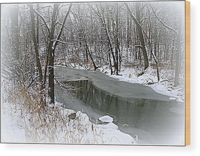 Landscape Wood Print featuring the photograph Winter Dreams by Kay Novy