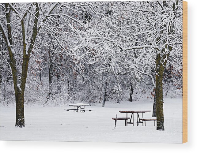 Photography Wood Print featuring the photograph Winter is No Picnic by Larry Ricker