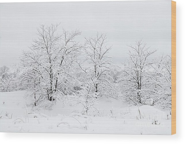 Photography Wood Print featuring the photograph Winter Scene by Larry Ricker