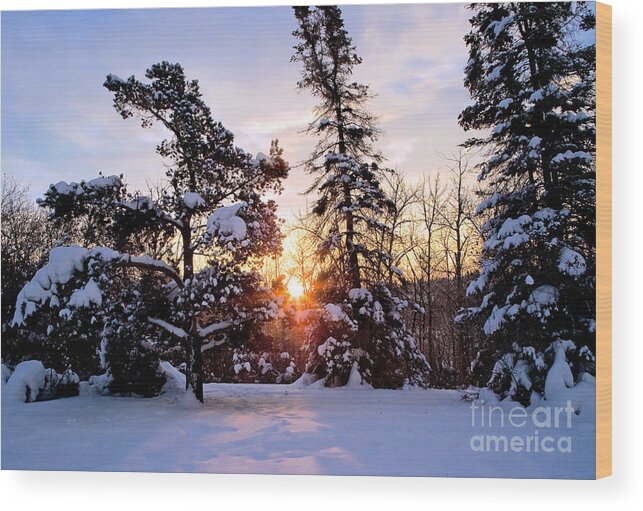 Sunrise Wood Print featuring the photograph Winter Sunrise by Terry Elniski