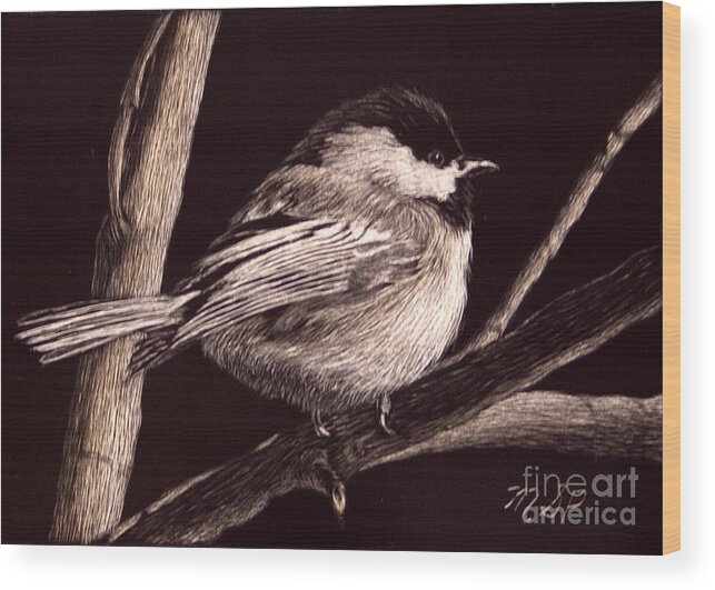 Chickadee Wood Print featuring the drawing Winter's Day by Margaret Sarah Pardy