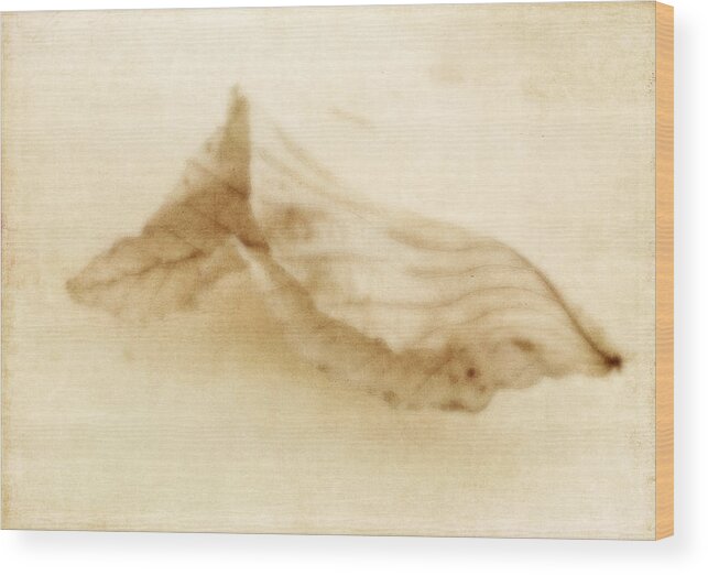 Faded Leaf Wood Print featuring the photograph Wistful by Michelle Ayn Potter