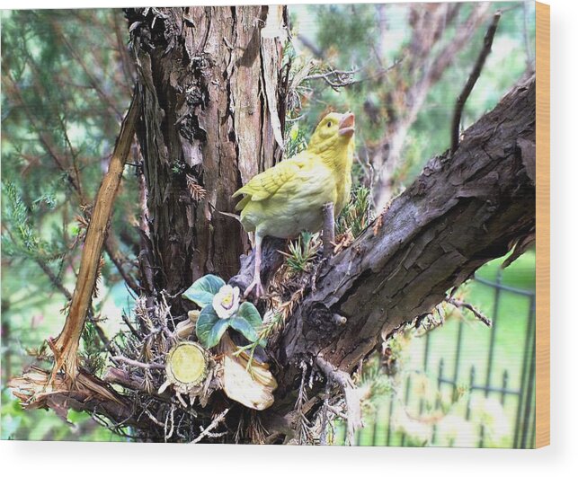 Woods Wood Print featuring the photograph Yellow Bird by Peggy King