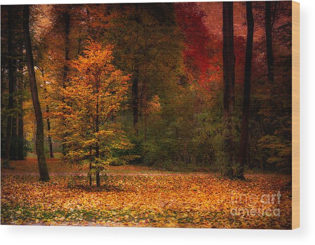 Autumn Wood Print featuring the photograph Youth by Hannes Cmarits