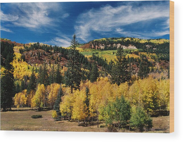 Chama Wood Print featuring the photograph Patchwork by Ron Weathers