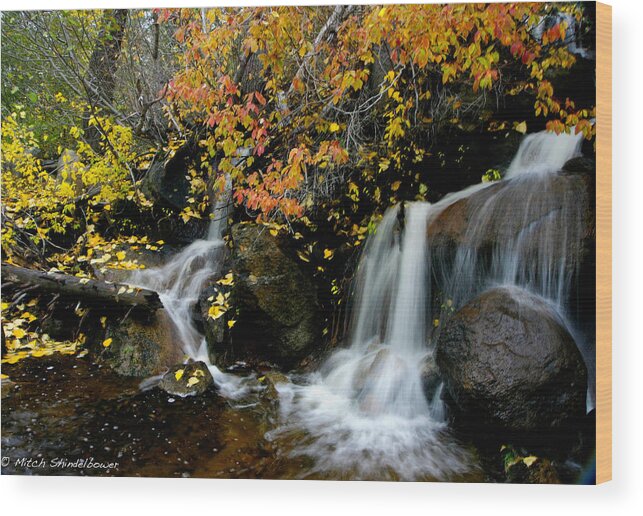 Fall Wood Print featuring the photograph Waterfall by Mitch Shindelbower