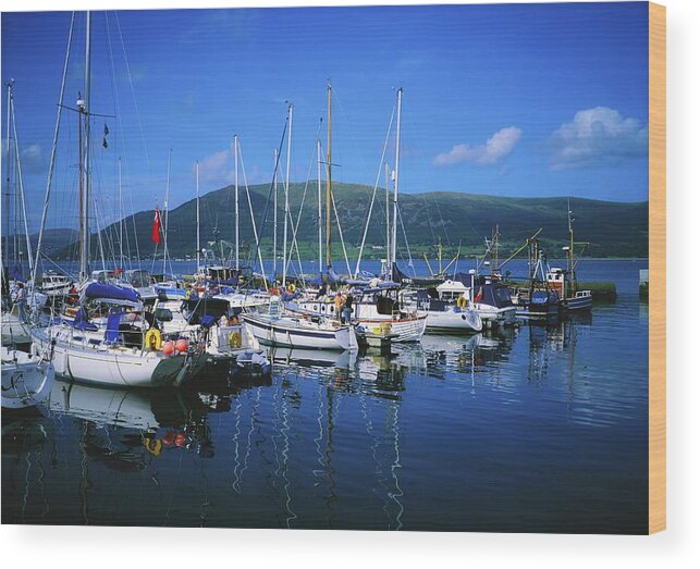 Journey Wood Print featuring the photograph Carlingford Yacht Marina, Co Louth #1 by The Irish Image Collection 