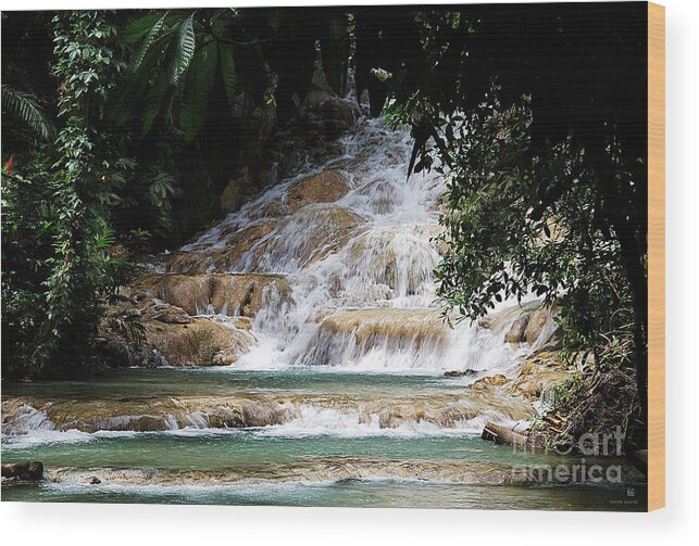 Waterfall Wood Print featuring the photograph dunn falls II #1 by Hannes Cmarits