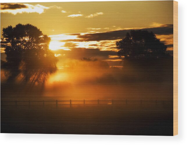 Fog Lit Up Sunrise Wood Print featuring the photograph River of gold #1 by John Chivers