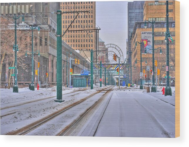  Wood Print featuring the photograph 1st Real Snowfall Metro Rail 2012 by Michael Frank Jr