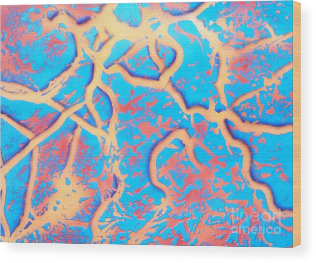 Micrograph Wood Print featuring the photograph Borrelia Burgdorferi #5 by Science Source