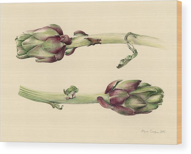 Artichoke; Bulb; Bulbs; Vegetable; Study; Artichokes; Vegetables Wood Print featuring the painting Artichokes by Alison Cooper