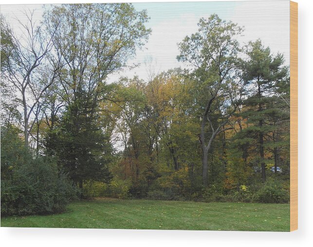 Autumn Wood Print featuring the photograph Autumn landscape in Massachusetts by Kim Galluzzo Wozniak