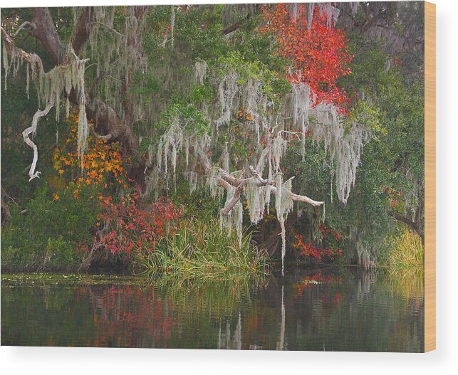 Landscape Wood Print featuring the photograph Autumn Reflection by Marc Crumpler