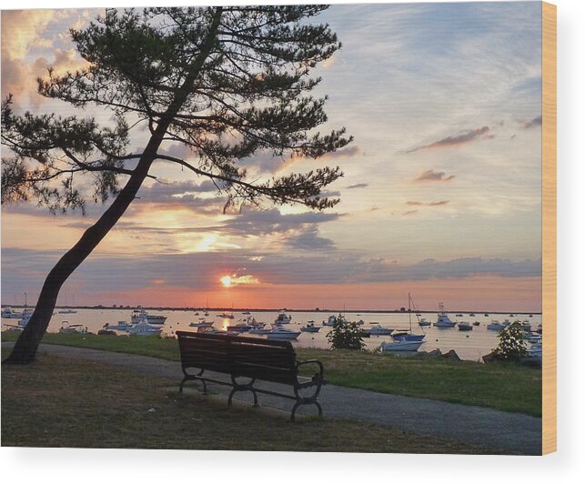 Bench Wood Print featuring the photograph Bench by the Sea by Janice Drew