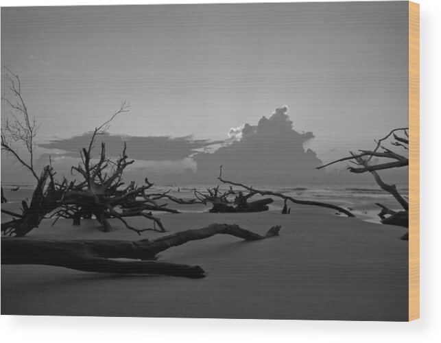 Landscape Wood Print featuring the photograph Bone Yard by Francis Trudeau