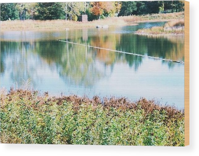Lake Wood Print featuring the photograph Bright Lake by Samantha Lusby