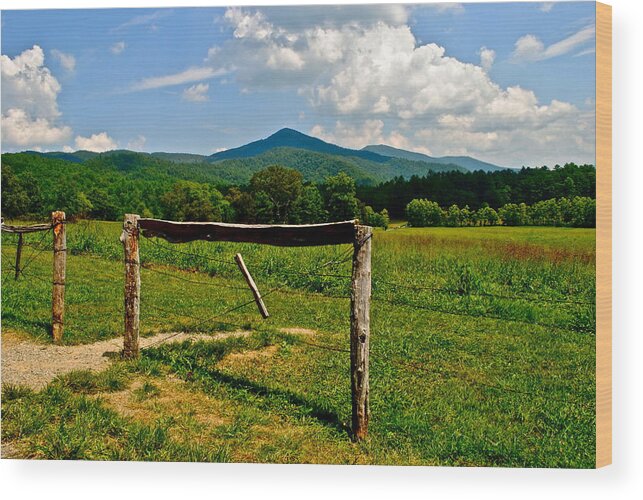 Smoky Mountains Wood Print featuring the photograph Cades Cove SMNP by Frozen in Time Fine Art Photography