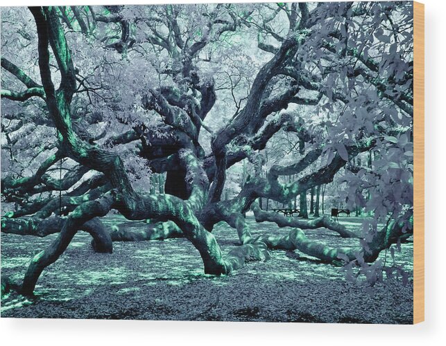 South Carolina Wood Print featuring the photograph Charleston's Angel Oak Tree IR by Louis Dallara