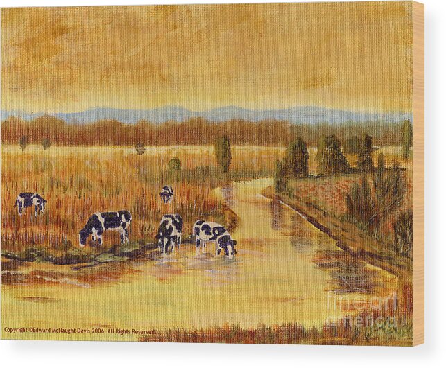 Painting Tregaron Friesian Cows Drinking Cors Caron Afon Teifi River Wood Print featuring the painting Painting Tregaron Friesian Cows Drinking at Cors Caron along Afon Teifi by Edward McNaught-Davis