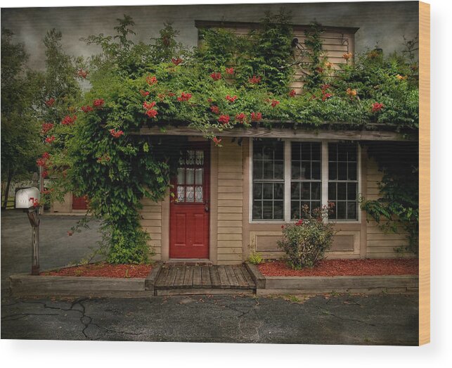 House Wood Print featuring the photograph Curb Appeal by Robin-Lee Vieira