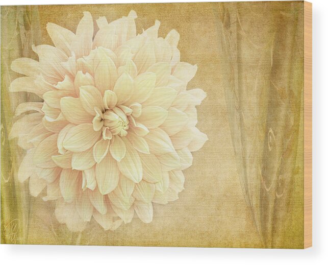 Flowers Wood Print featuring the digital art Dahlia Show by Margaret Hormann Bfa