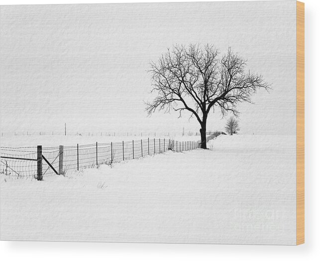 Black And White Photography Wood Print featuring the photograph December by Sue Stefanowicz