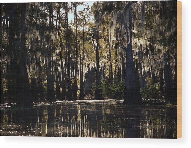 Swamp Wood Print featuring the photograph Deep Swamp by Ron Weathers