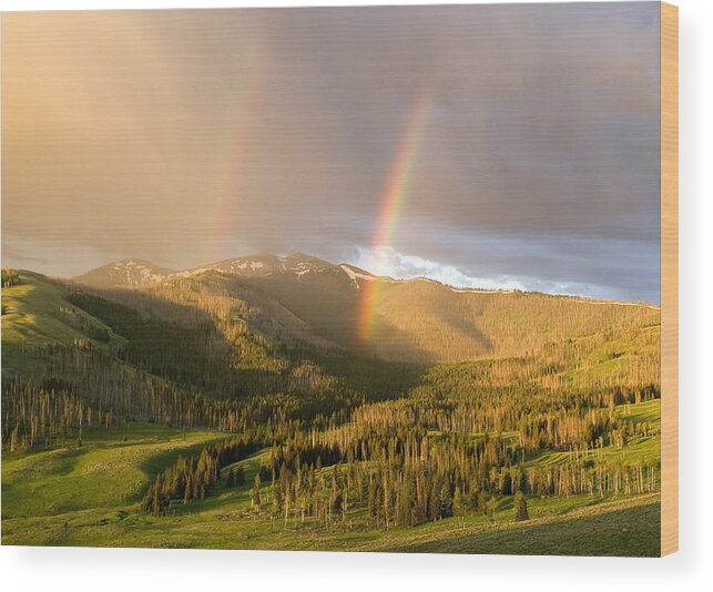 Rainbow Wood Print featuring the photograph Double Rainbow by Max Waugh