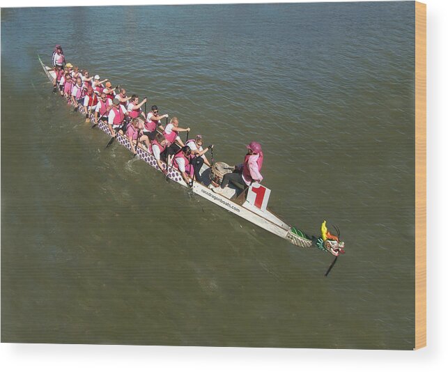 Dragon Boat Race Wood Print featuring the painting Dragon Boat Pink by Mitzi Lai