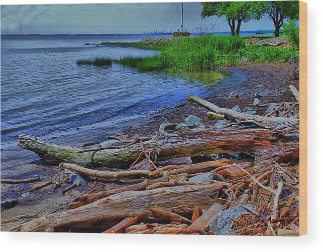 Driftwood Wood Print featuring the photograph Driftwood on Shore by Trudy Wilkerson