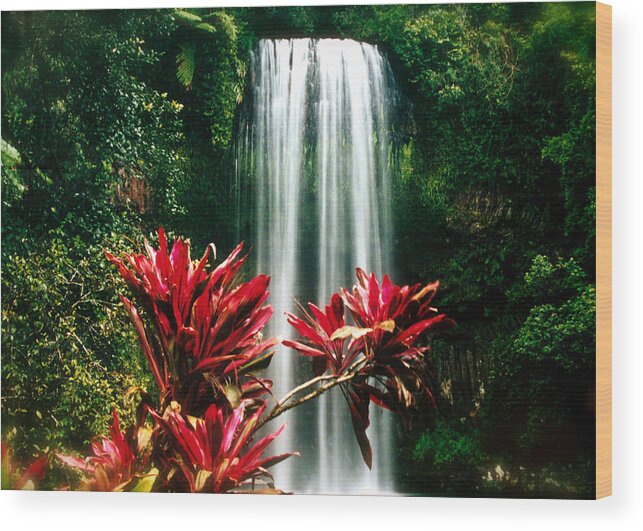 Waterfall Wood Print featuring the photograph Elixir of LIfe by HweeYen Ong