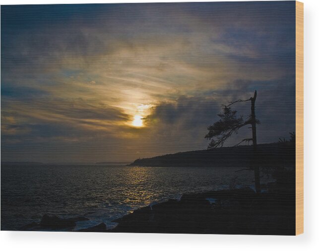 Water Wood Print featuring the photograph Fading Fast by Greg DeBeck