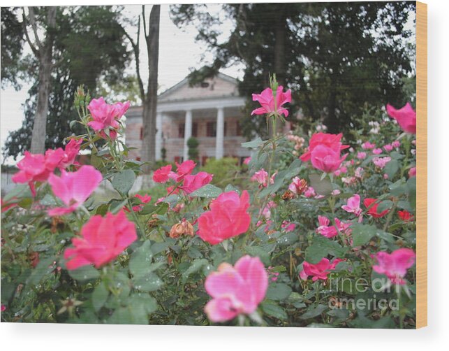 Tate Wood Print featuring the photograph Flowers of Tate by Jost Houk