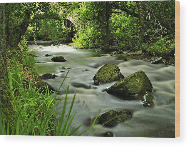 Water Wood Print featuring the photograph Free Flow by Joe Ormonde