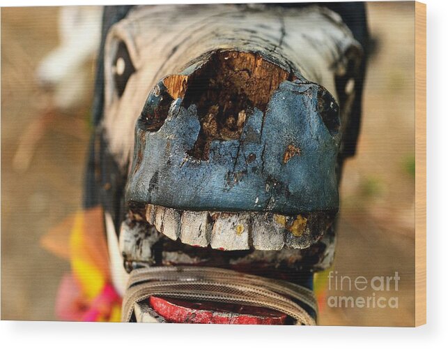 Horse Wood Print featuring the photograph Giddyup by Dean Harte
