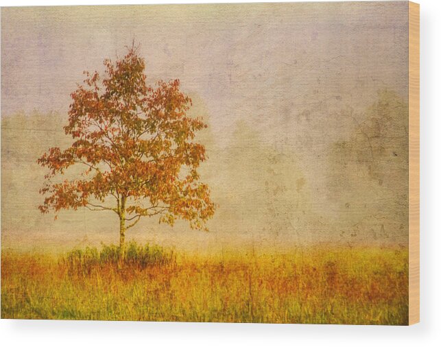 Fog Wood Print featuring the photograph Gold by Debra and Dave Vanderlaan