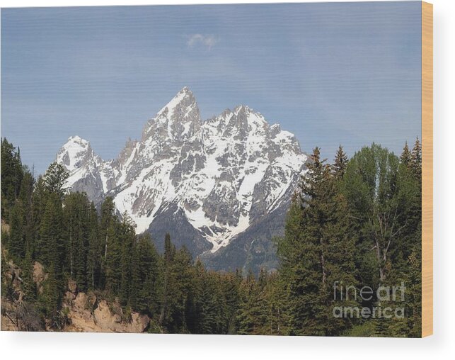 Grand Tetons Wood Print featuring the photograph Grand Tetons by Living Color Photography Lorraine Lynch