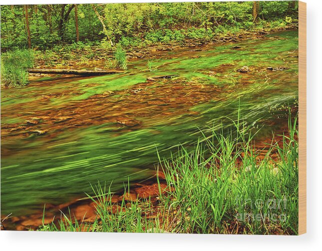 River Wood Print featuring the photograph Green forest river by Elena Elisseeva