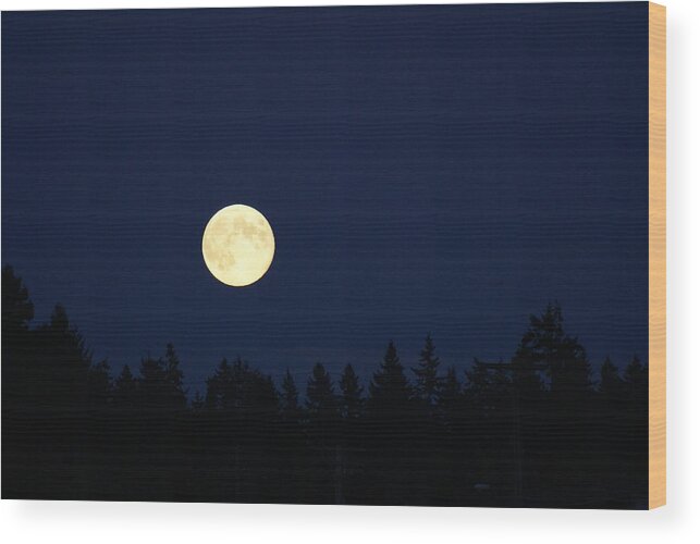 Harvest Moon Wood Print featuring the photograph Harvest Moon by Jerry Cahill