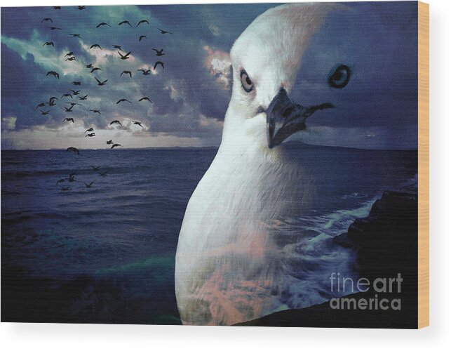 Bird Wood Print featuring the photograph He Spotted Land and Knew he was Home by Karen Lewis